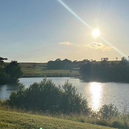 Cuddfan Lodge On A Gorgeous Private Lake نيوبورت المظهر الخارجي الصورة